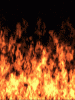 anim240320mobildesign.atw.hu_0236.gif